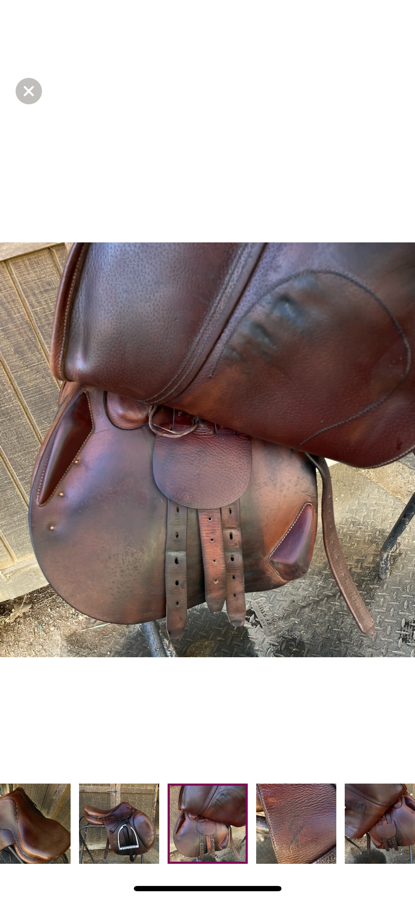 ANTARES 2009 16.5” Antares Jumping Saddle (8)