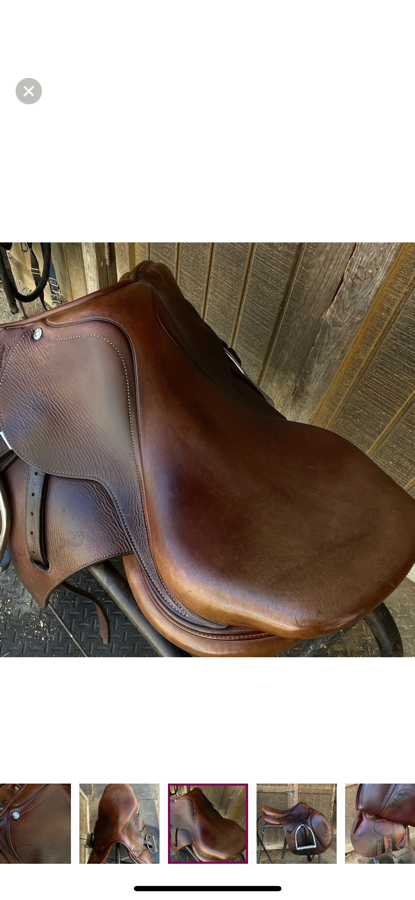 ANTARES 2009 16.5” Antares Jumping Saddle (6)