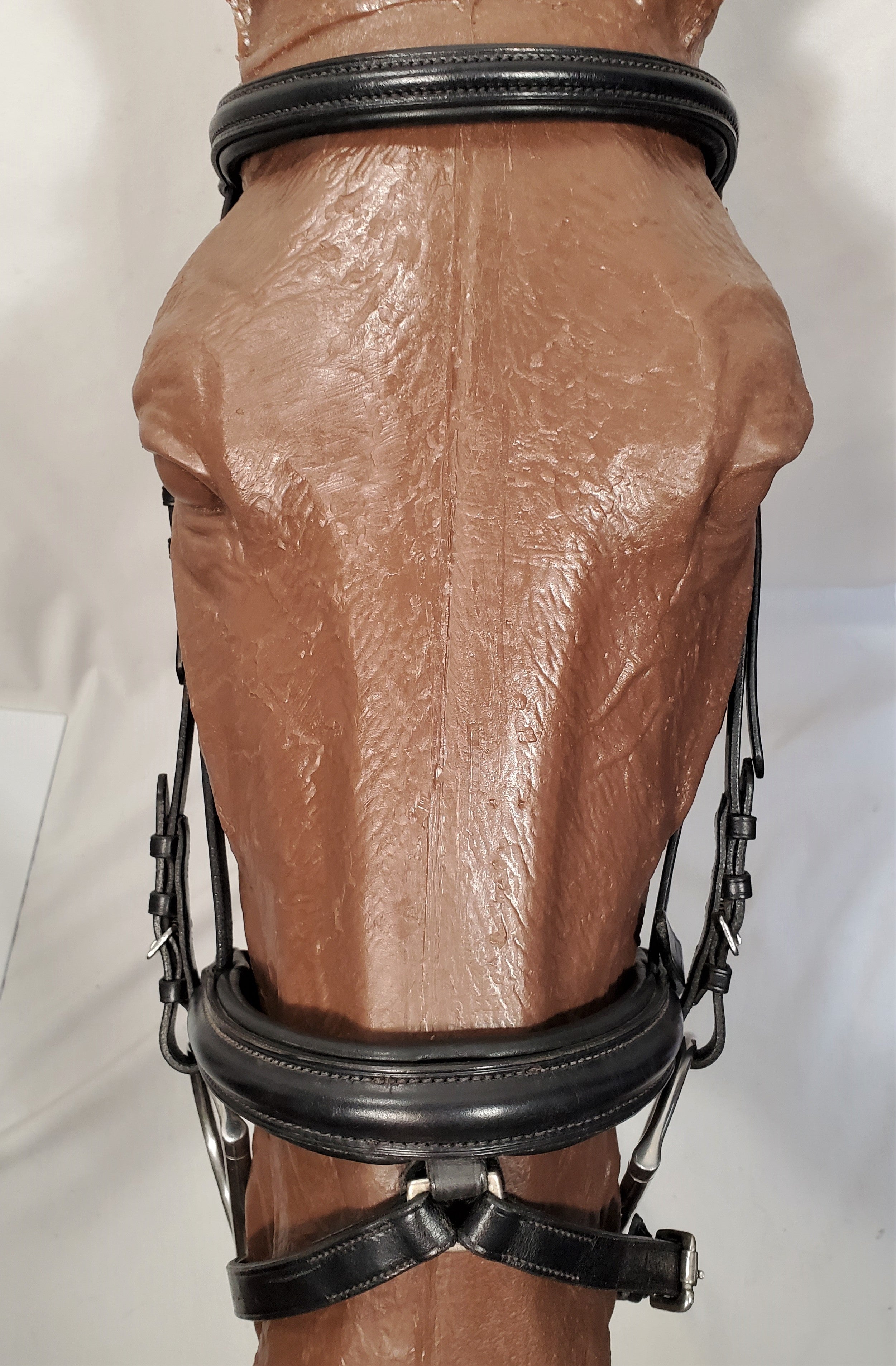 Dressage Bridle with Integrated Flash - X Full