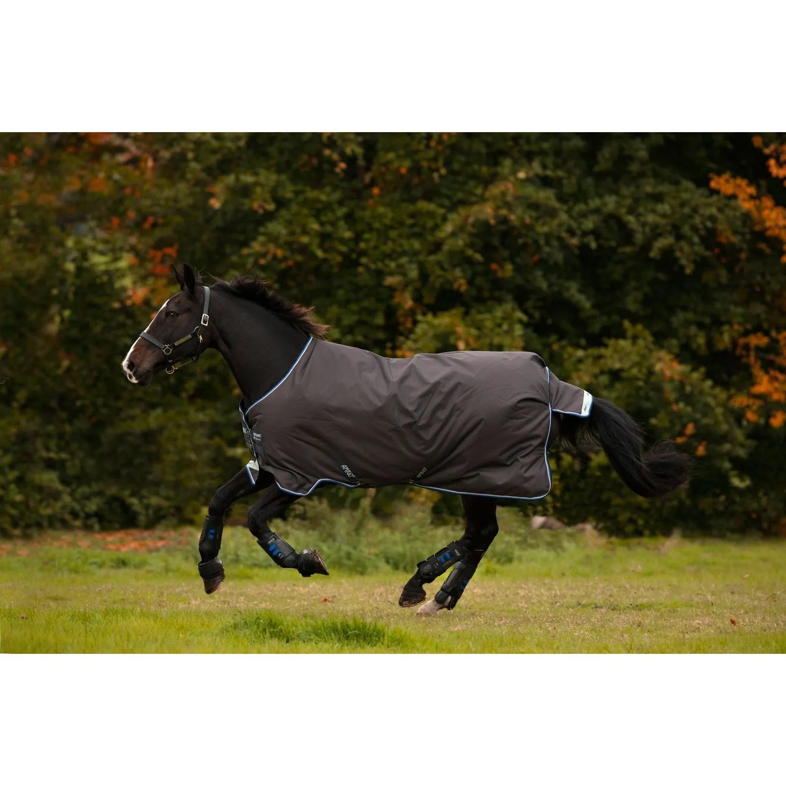 Horseware Amigo Bravo 12 Turnout (100g) - 69" - New!