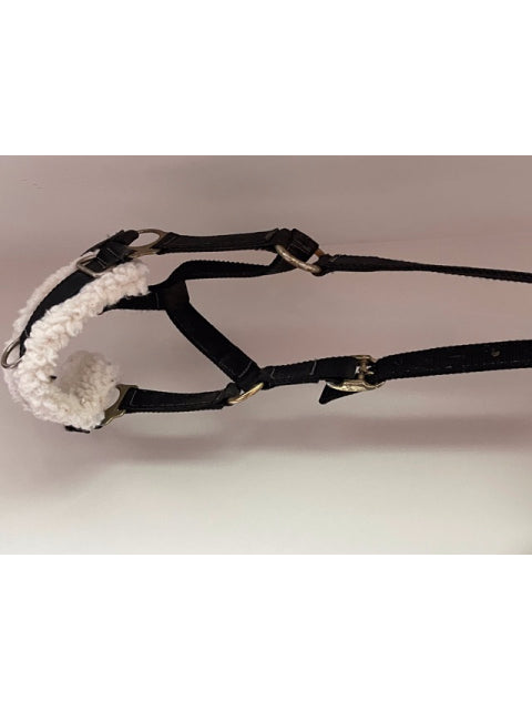 Dover Saddlery Black Lunging Halter