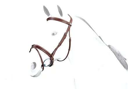 Equipe No-Stress Flash Jump Bridle