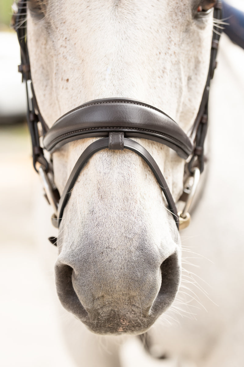 Hidden Flash!  Pro-Fit Comfortable Bridle in Havana Brown or Black with Flash Noseband and Clincher Browband