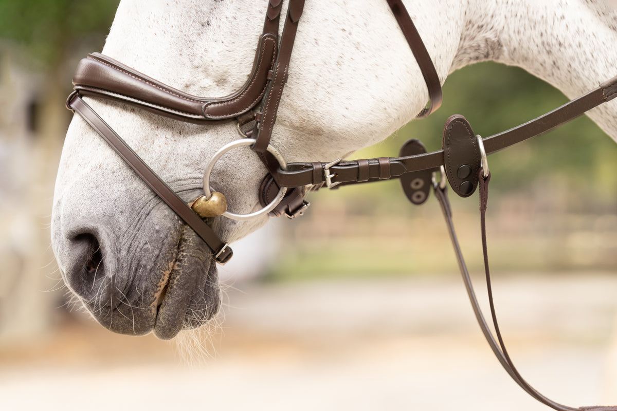 Hidden Flash!  Pro-Fit Comfortable Bridle in Havana Brown or Black with Flash Noseband and Clincher Browband