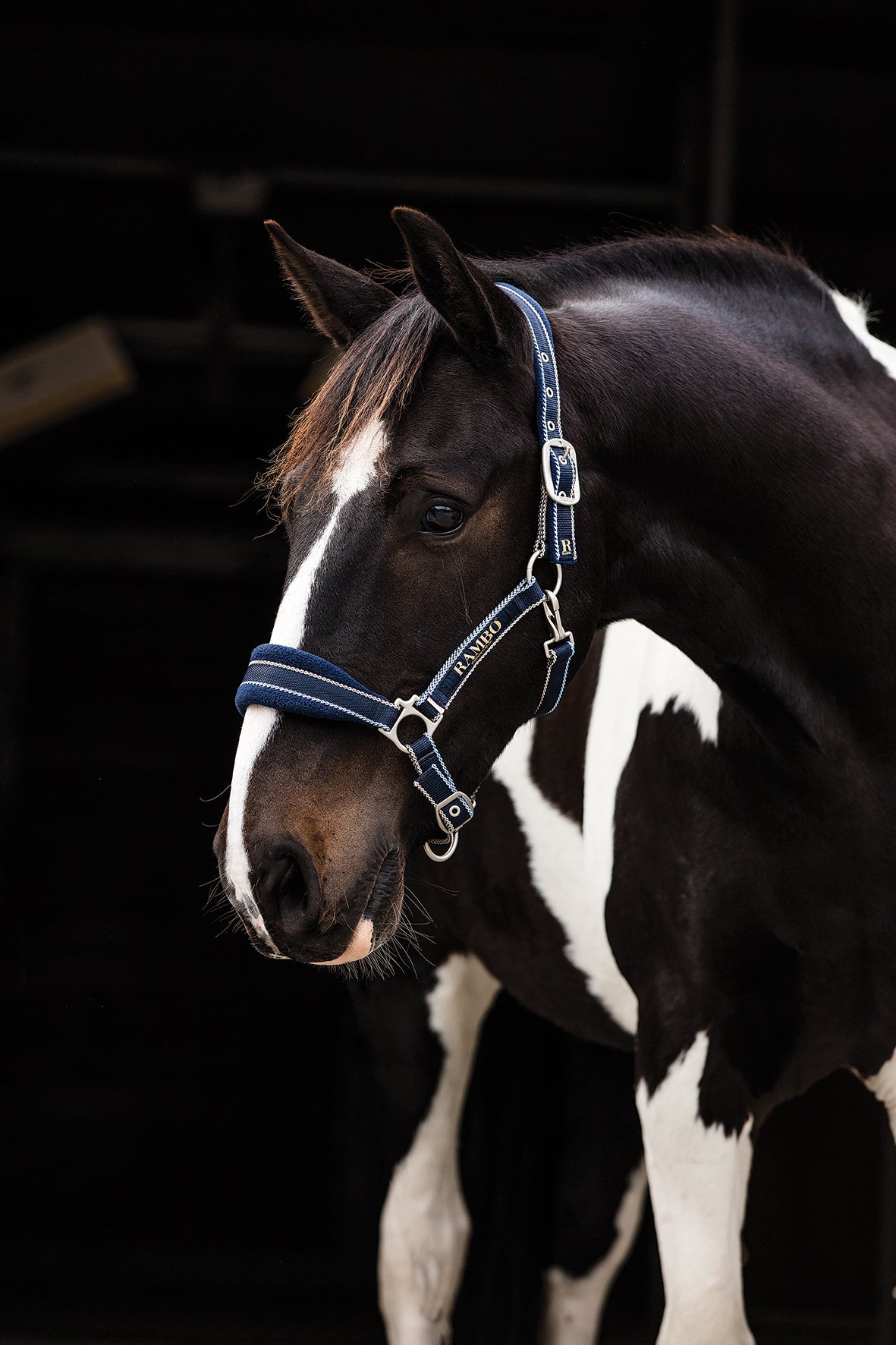 Rambo Padded Head Collar