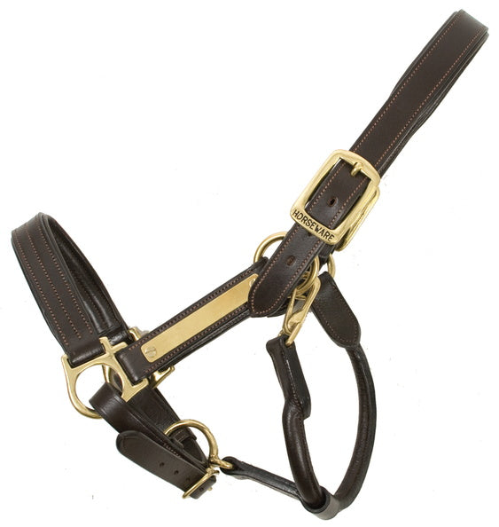 Amigo Padded Halter