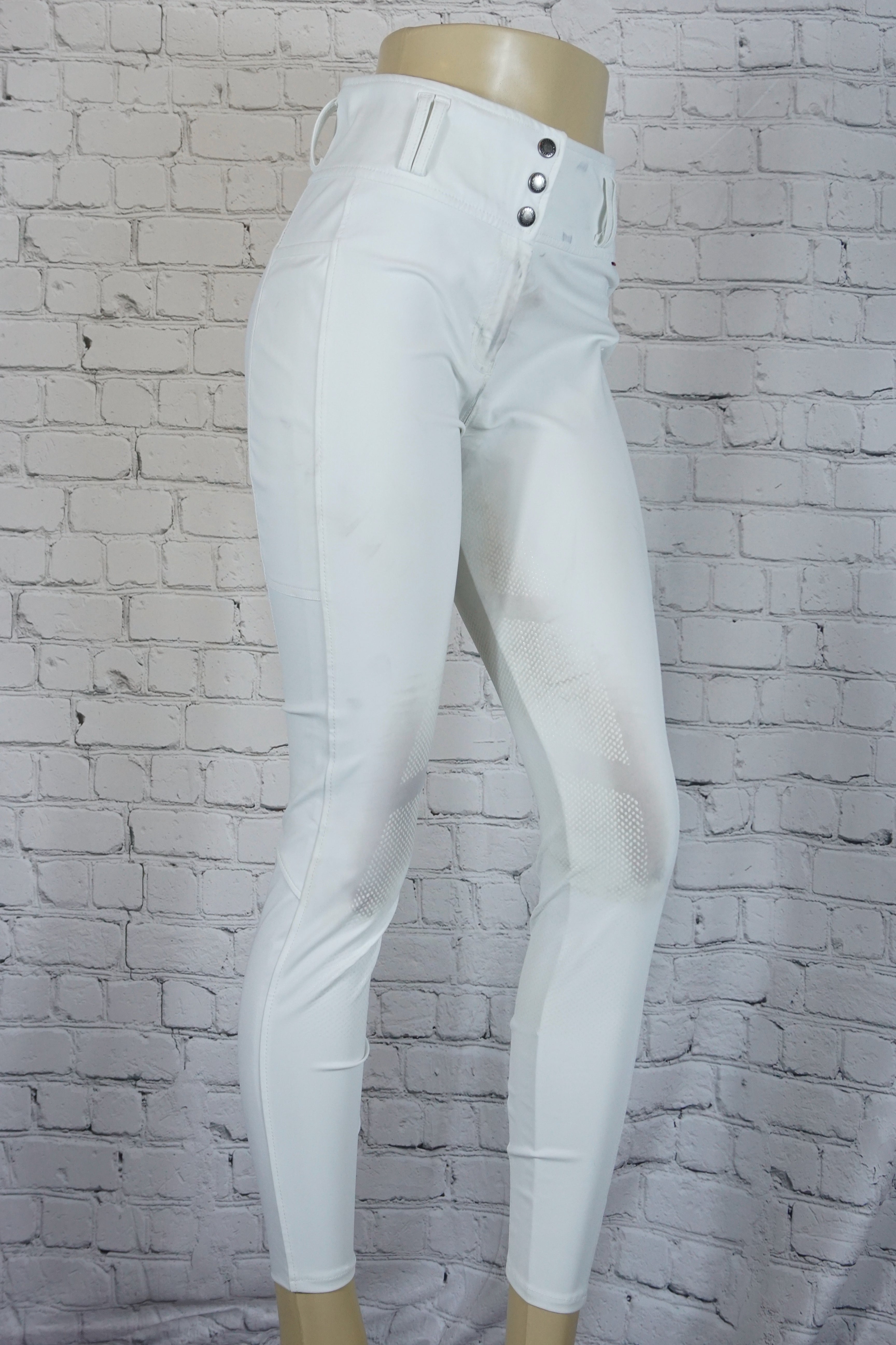 B Vertigo Meghan Highwaist Full Seat Breeches