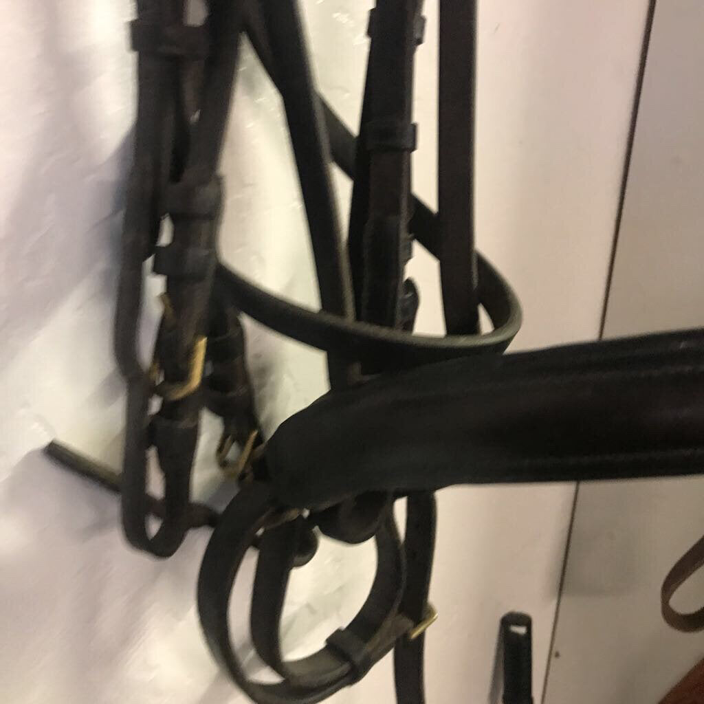 Jaguar Double Bridle