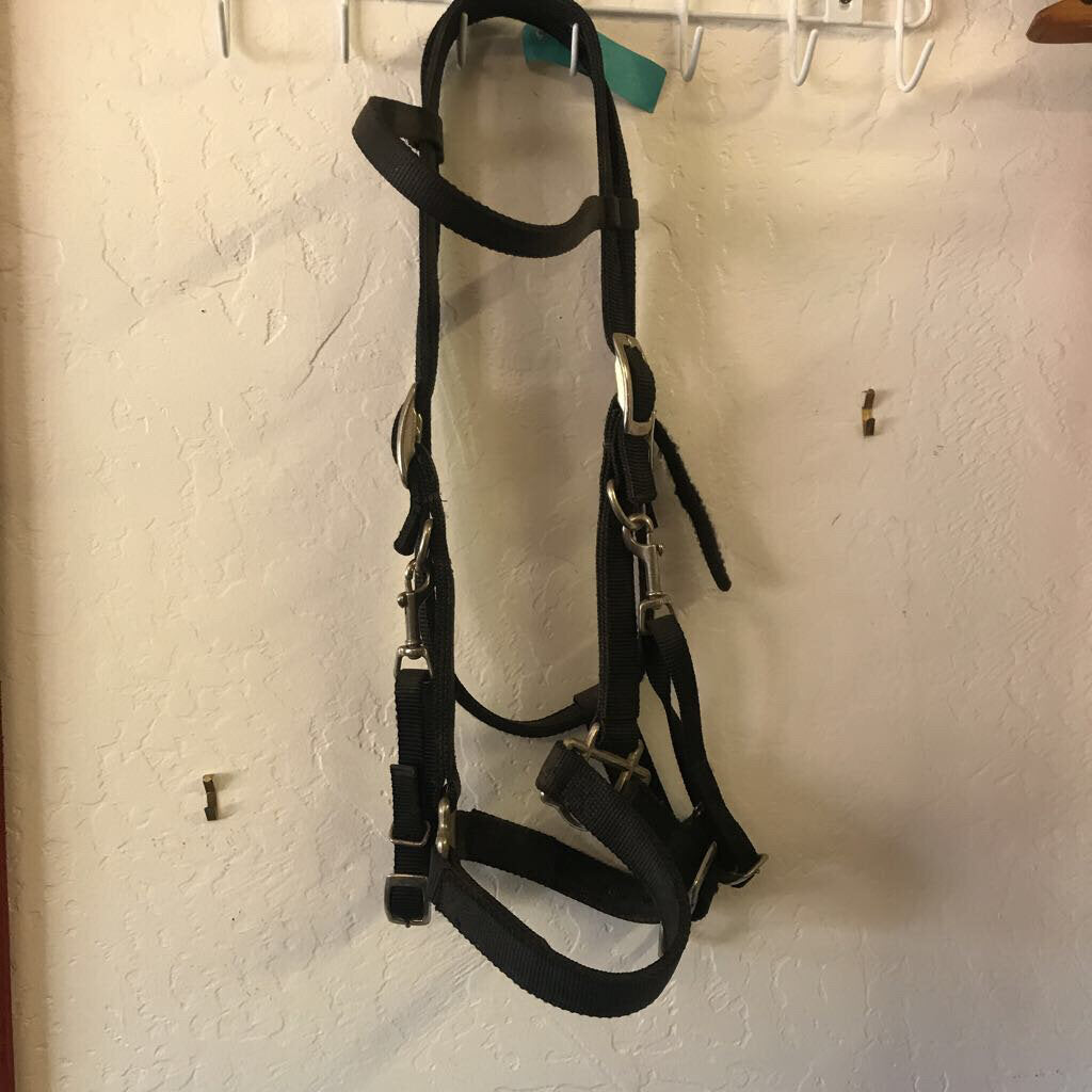 Halter/bridle Combo Nylon