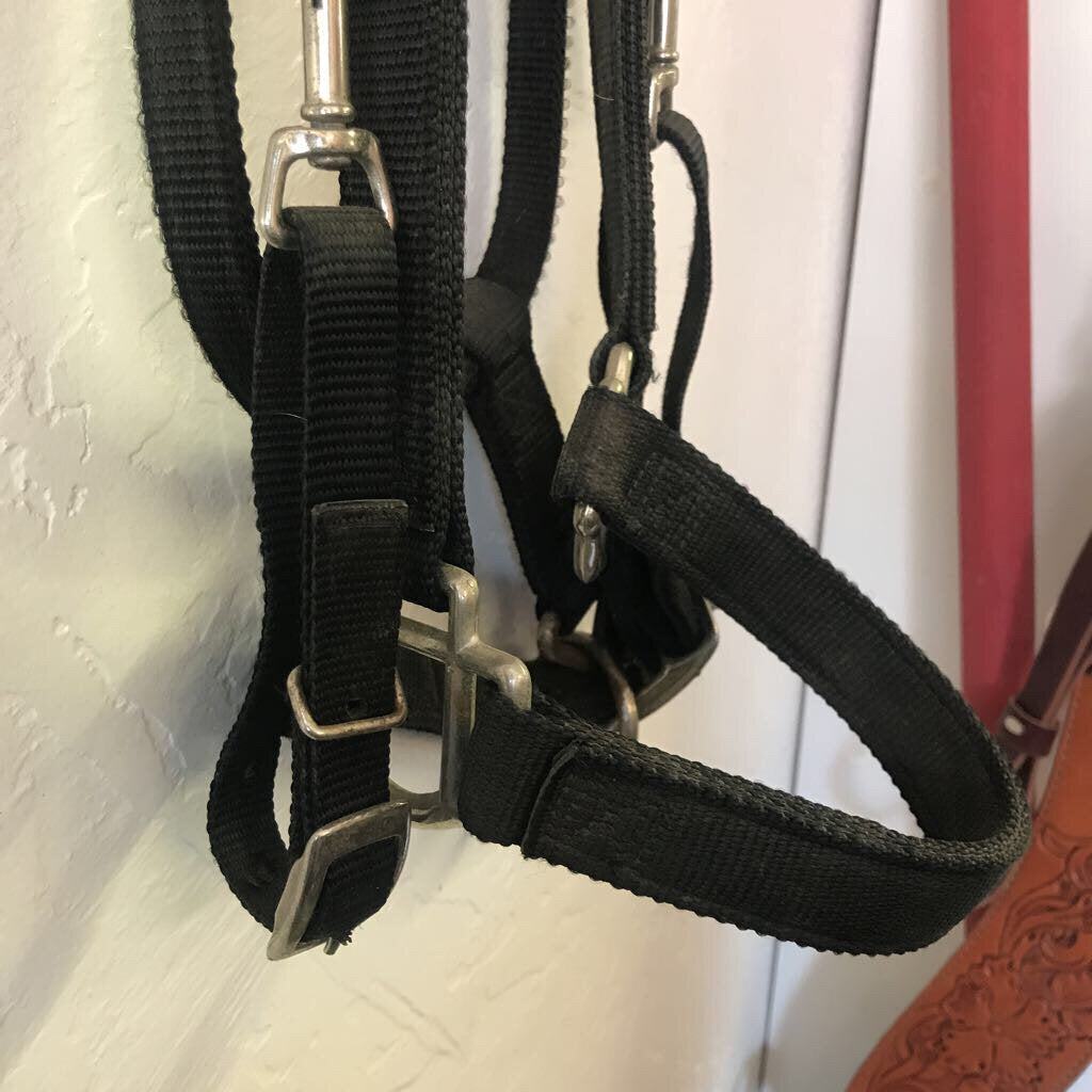 Halter/bridle Combo Nylon