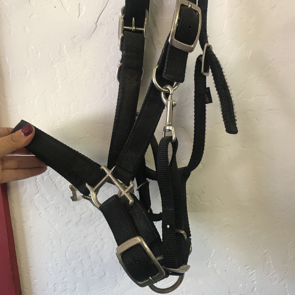 Halter/bridle Combo Nylon