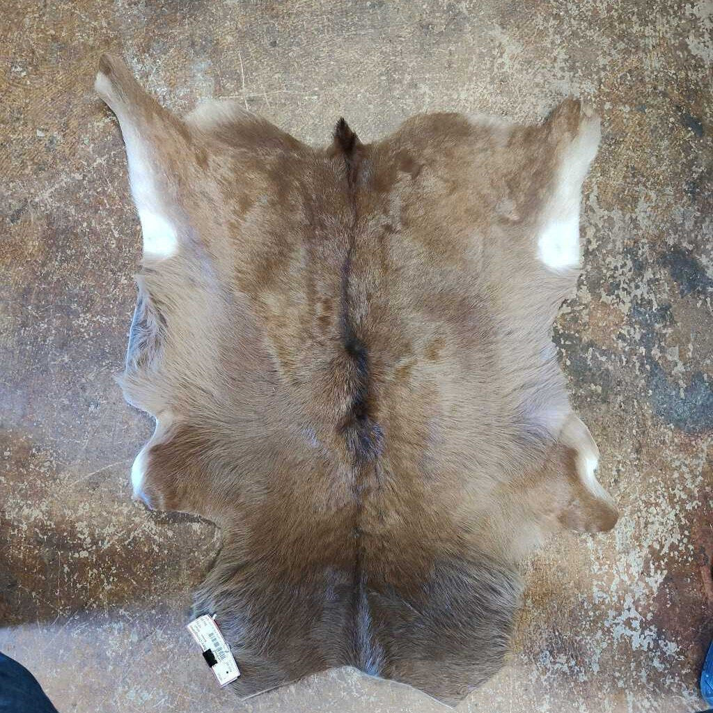 Calf Hide