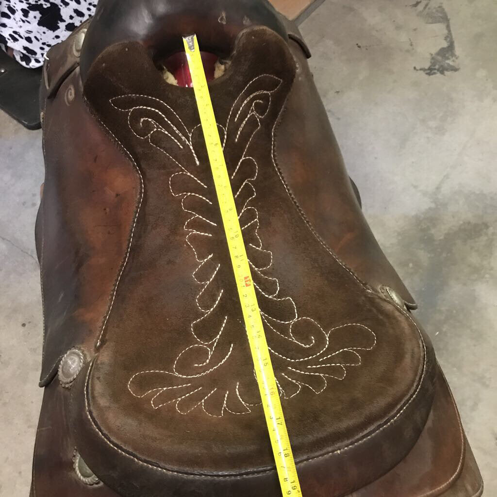Saddle Trail Broken Horn- Draft