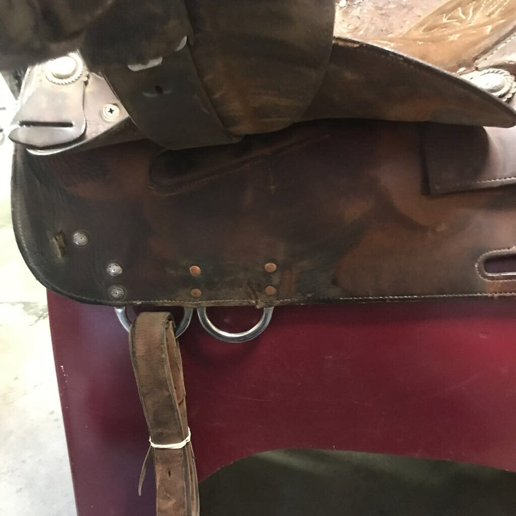 Saddle Trail Broken Horn- Draft