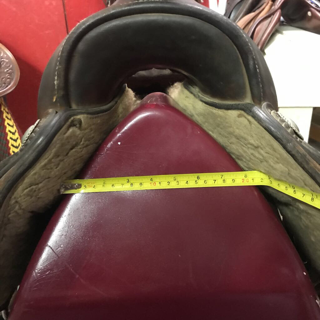 Saddle Trail Broken Horn- Draft