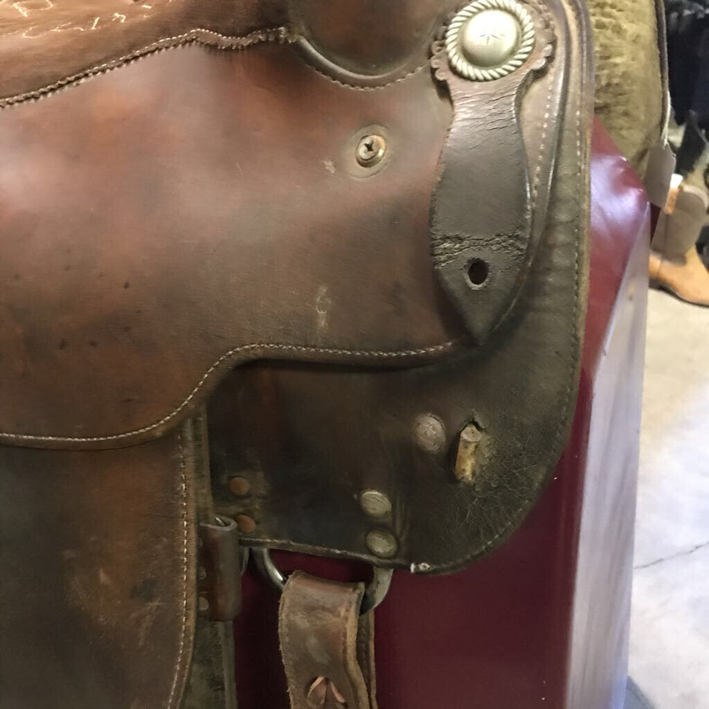 Saddle Trail Broken Horn- Draft