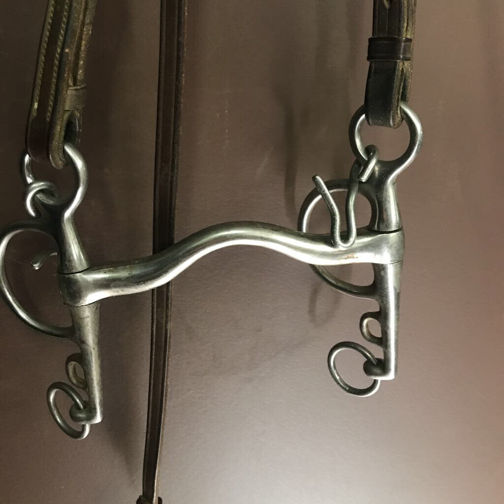 English bridle raised