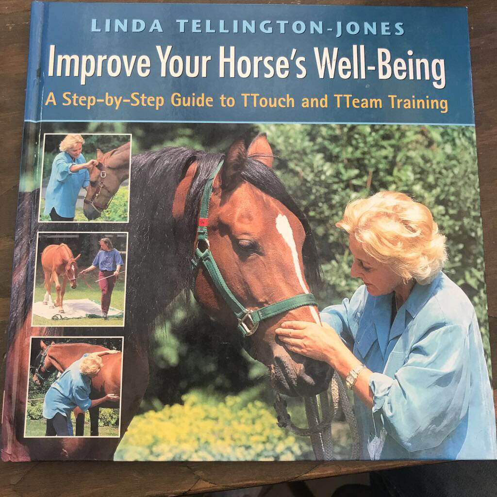 Improve Your Horse's Well-Being