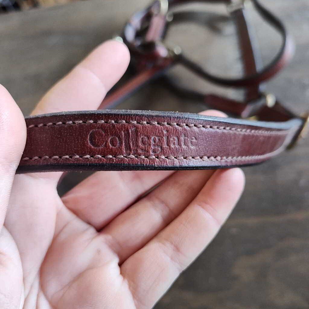 Leather halter