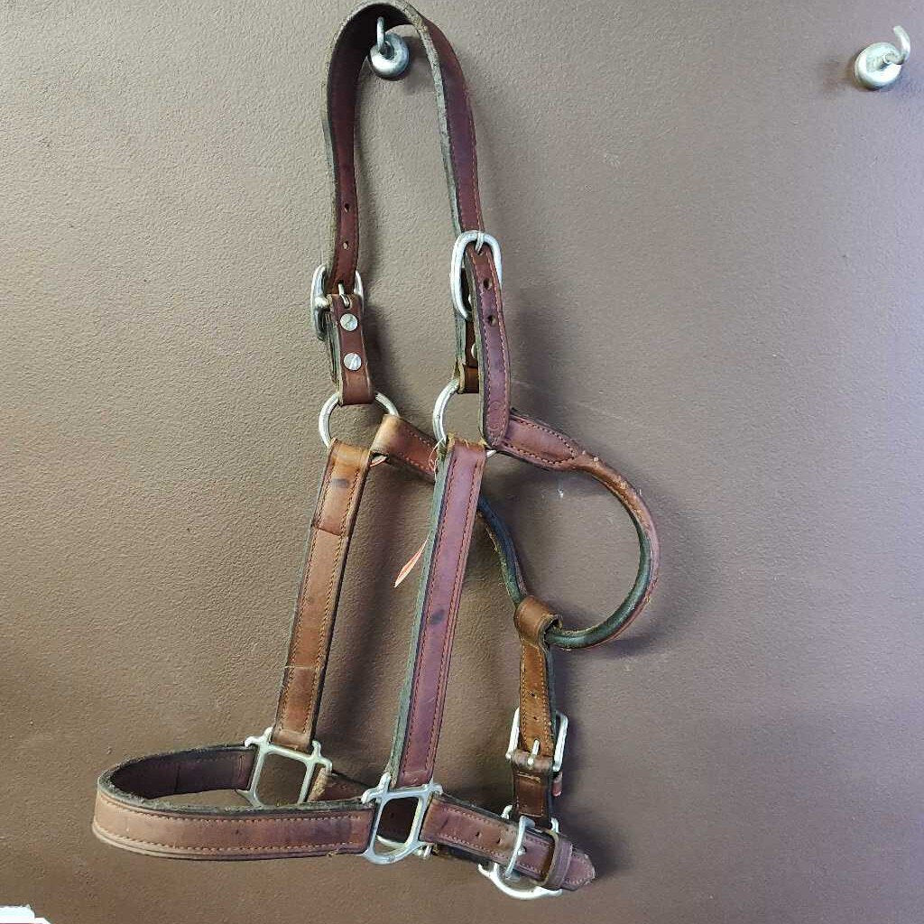 Leather halter