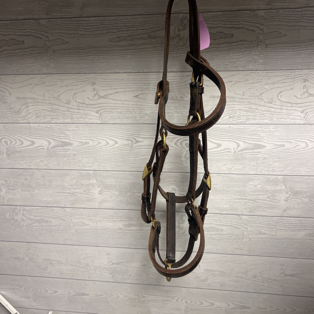 trail bridle-halter combo leather