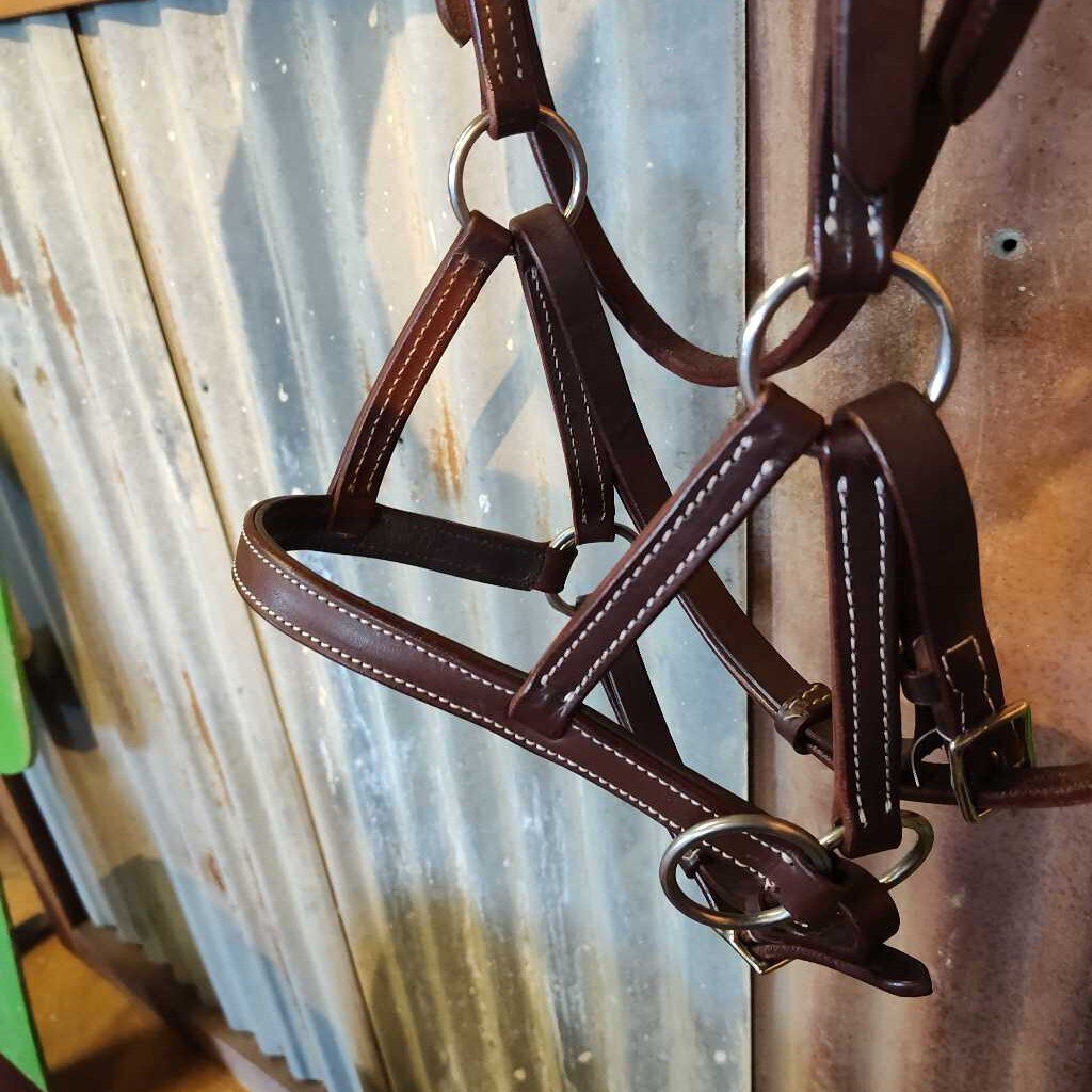 Side pull padded Bridle