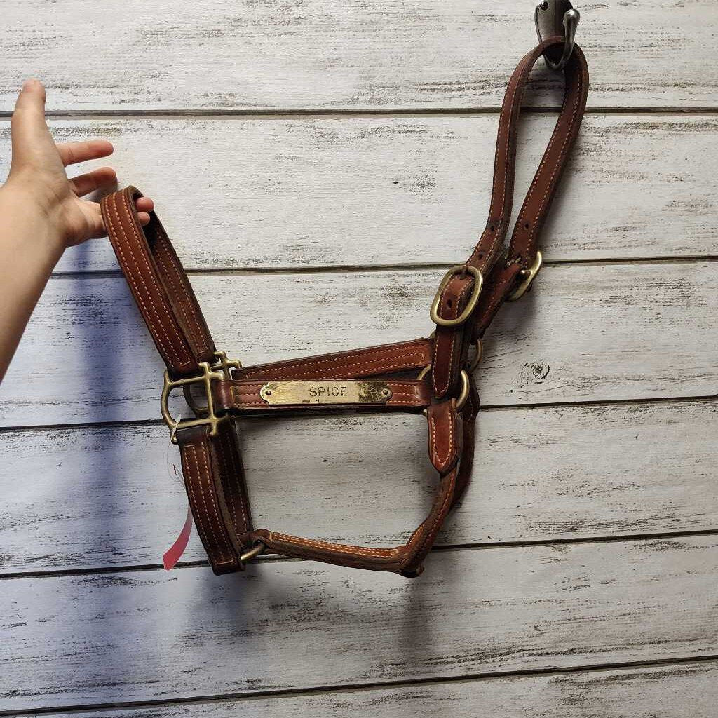 Leather halter