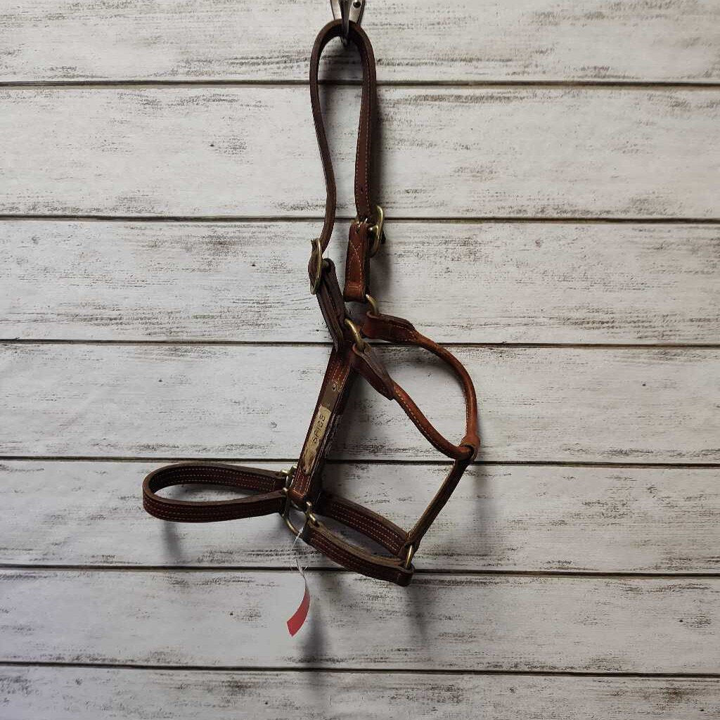 Leather halter