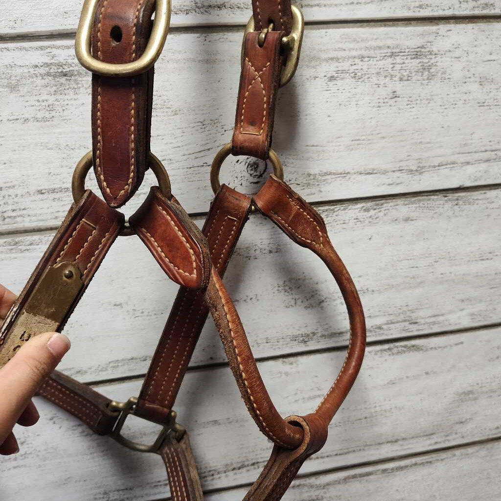 Leather halter