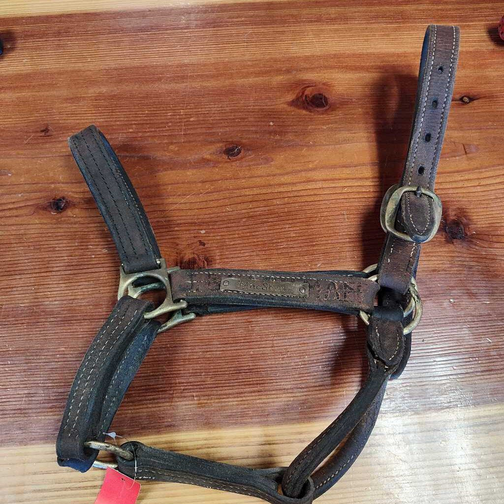 Leather halter