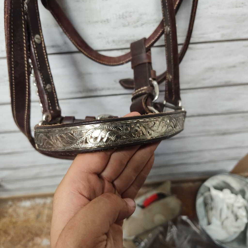 Budget friendly show halter