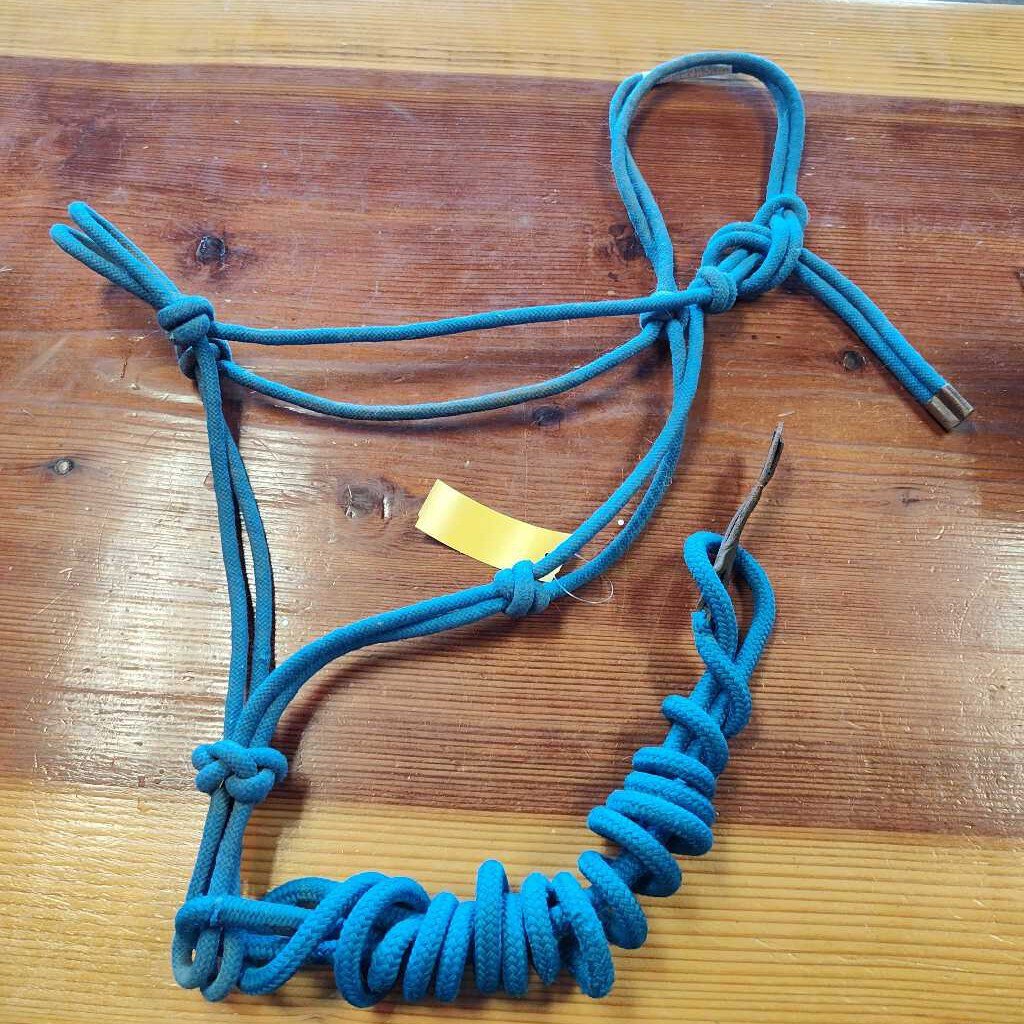 Rope halter and thin lead