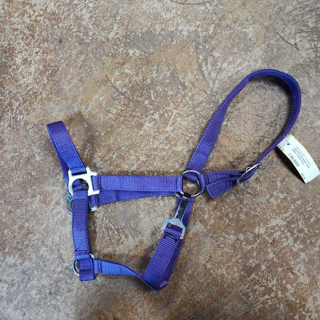 nylon halter