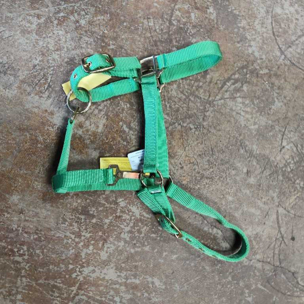 Triple Ply Nylon Halter