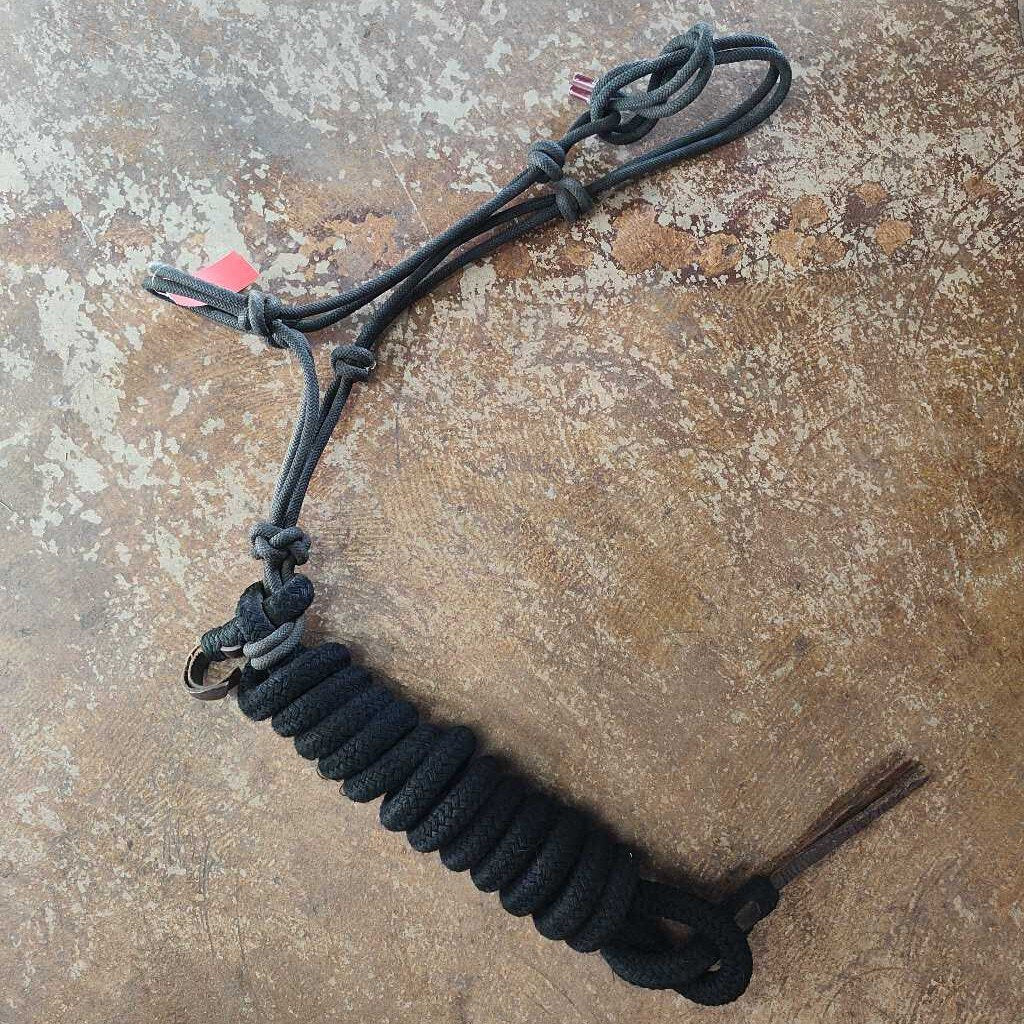 rope halter with lead