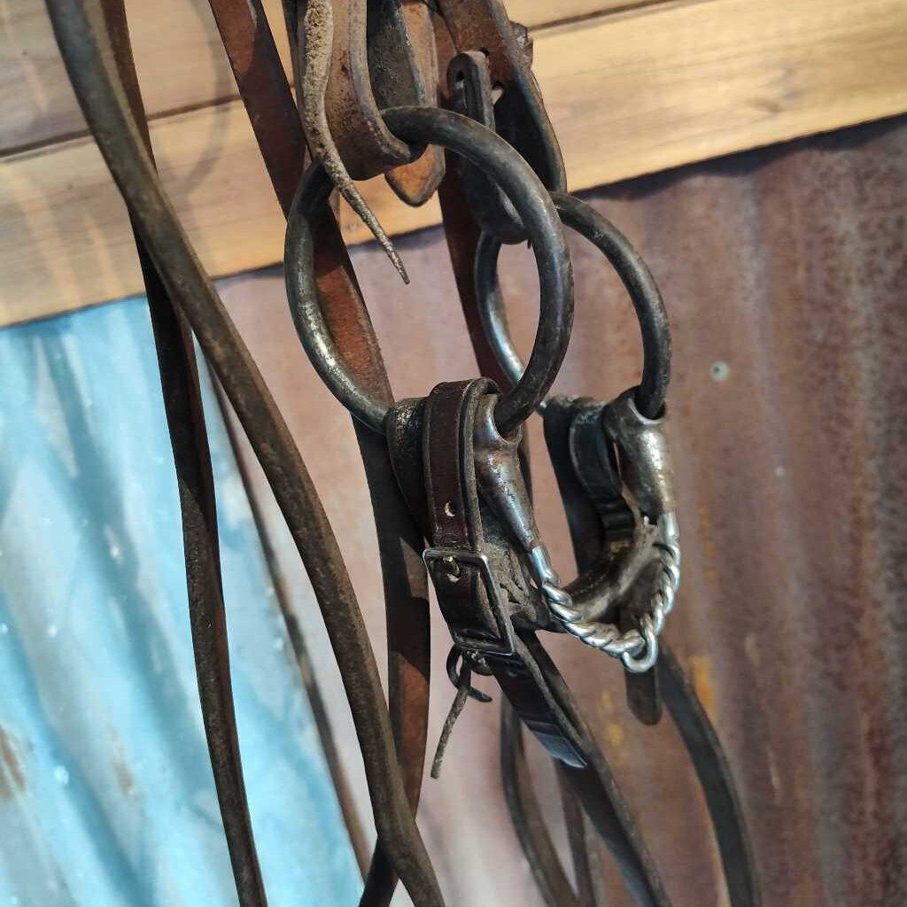 Bridle with bit and reins