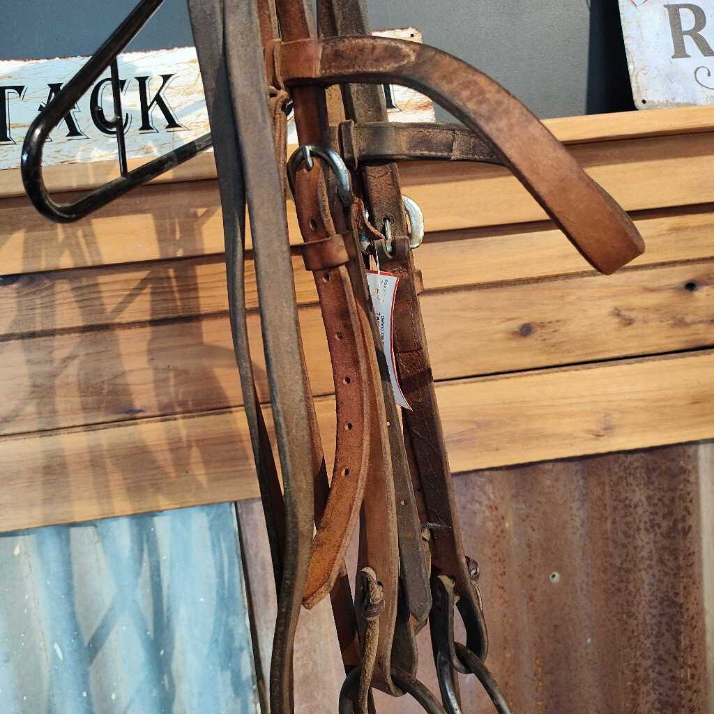 Bridle with bit and reins