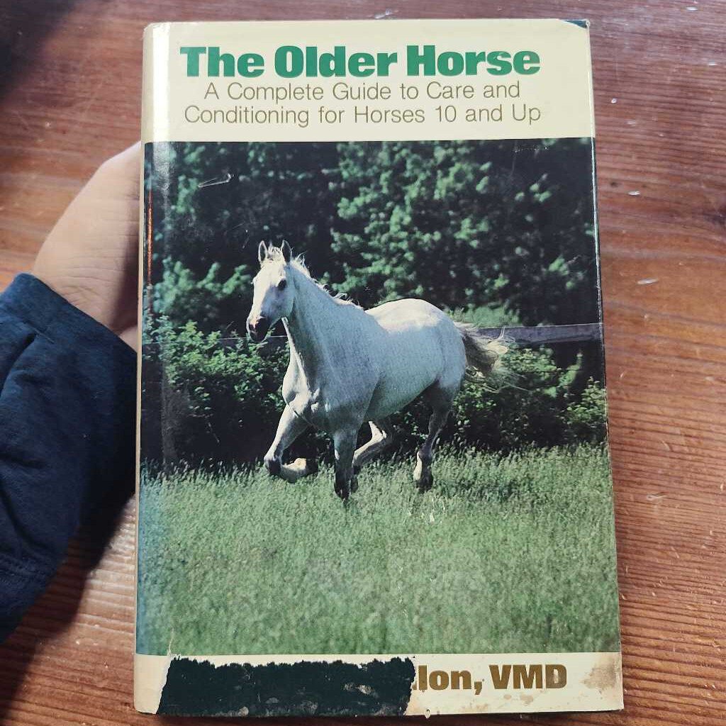 The Older horse