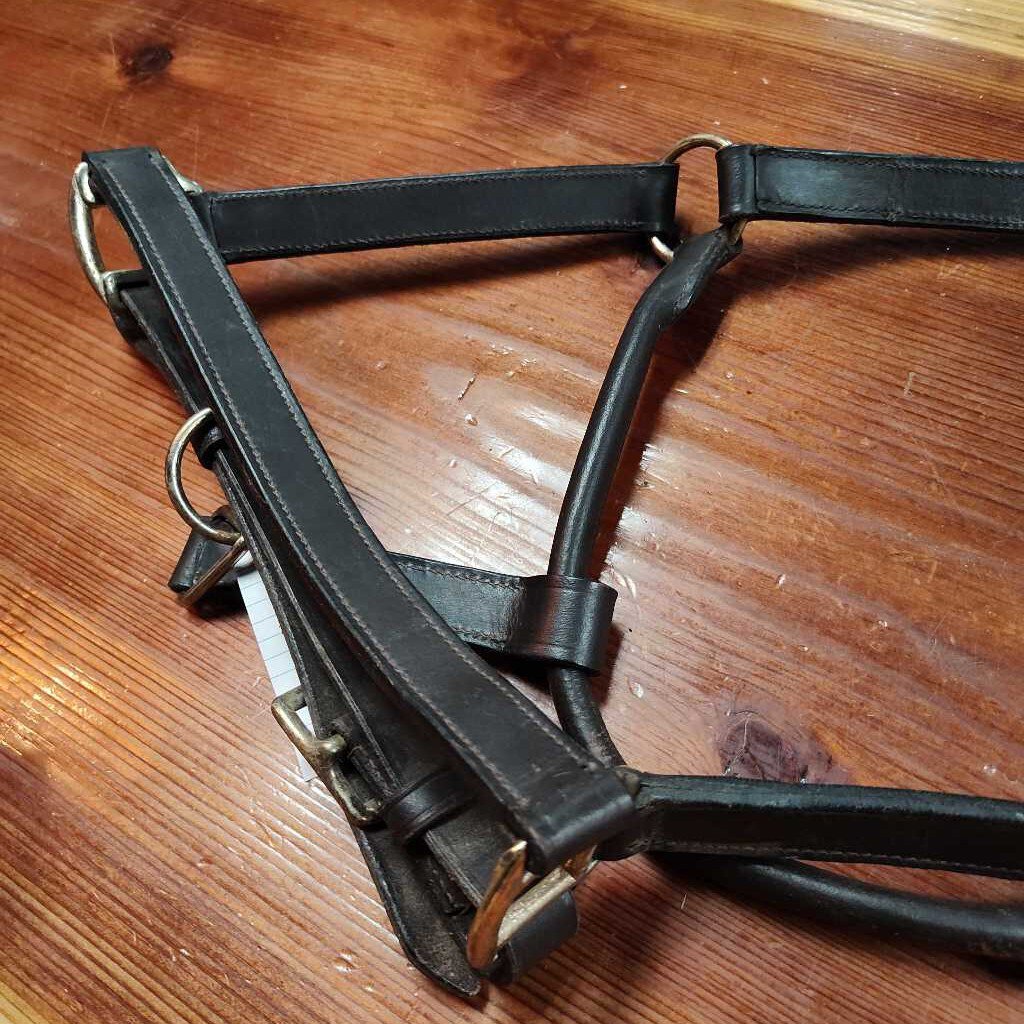 Leather halter