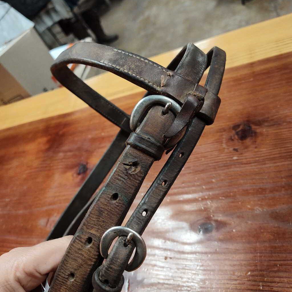 Leather bridle