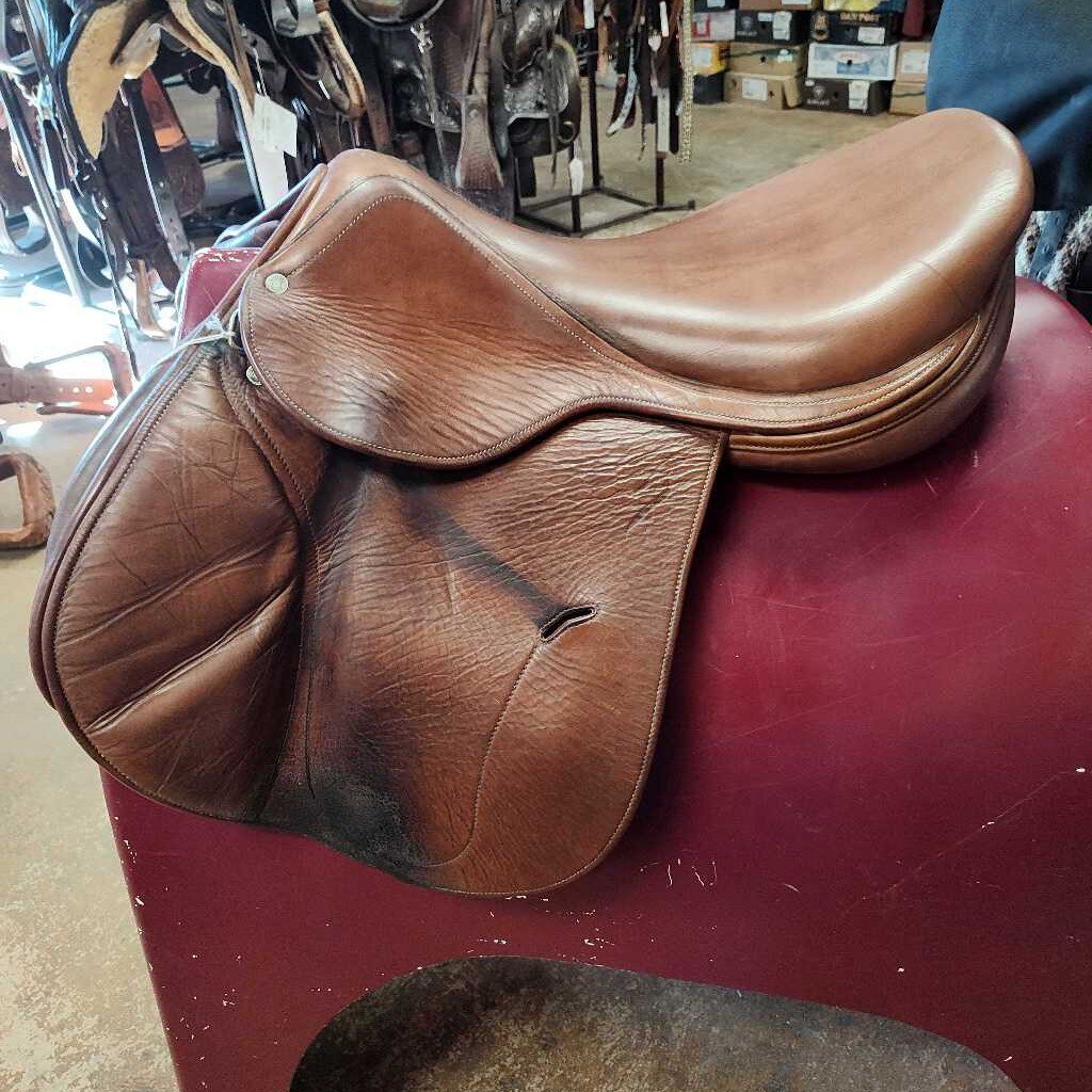 AP english saddle