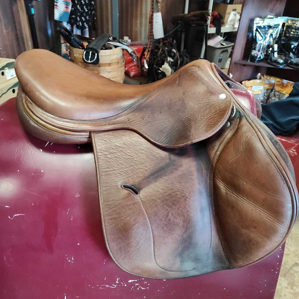 AP english saddle