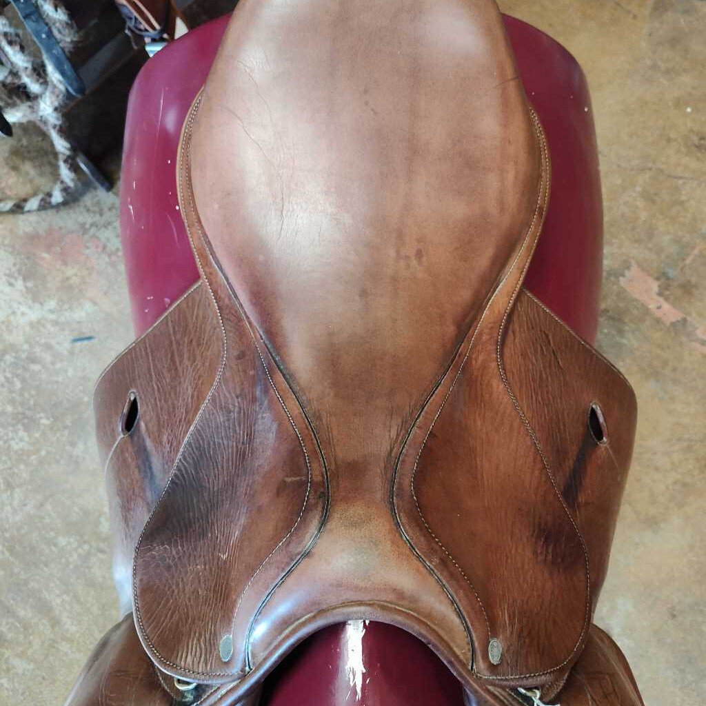 AP english saddle