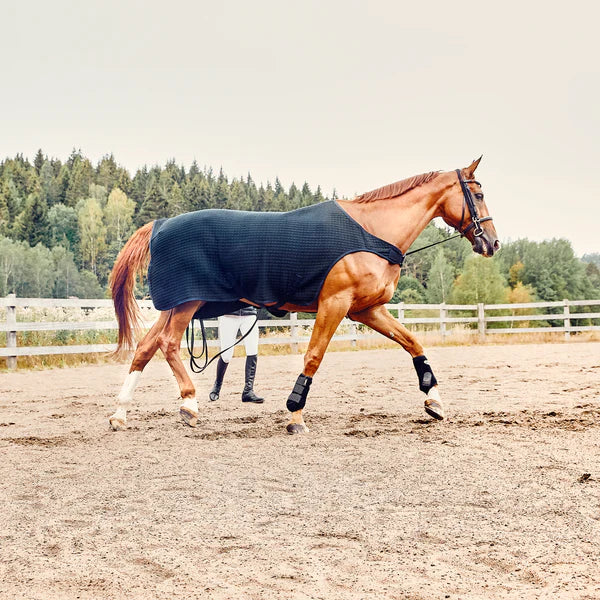 Kingsland Wool Evolution Walker/Lunging Rug - Cob - New!