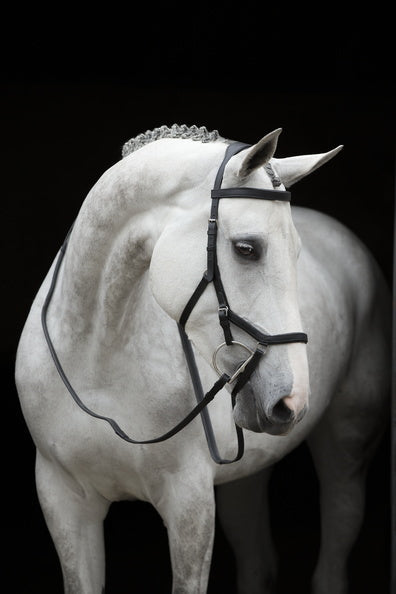 Rambo Micklem Comp Bridal w/ Reins