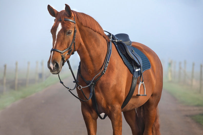 Rambo Micklem Martingale Breastplate