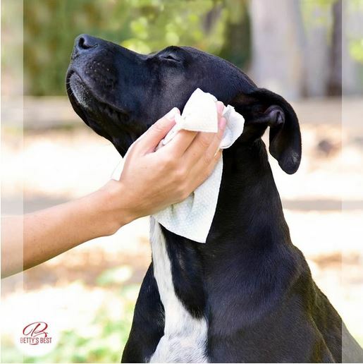 Betty's Best Skin & Coat Grooming Wipes XL -Refill