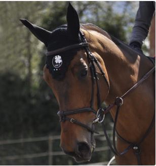 IHWT Evolution Bridle