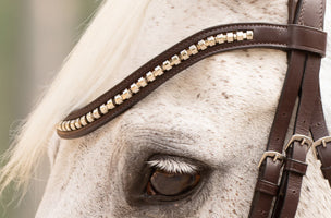 Hidden Flash!  Pro-Fit Comfortable Bridle in Havana Brown or Black with Flash Noseband and Clincher Browband