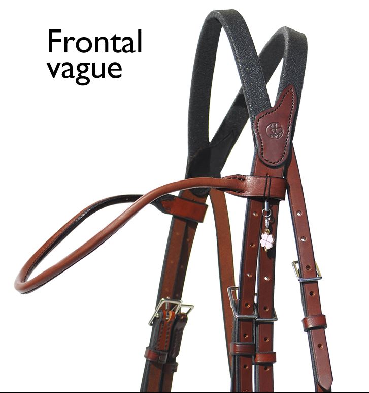 IHWT Evolution Bridle